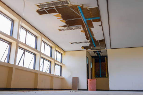 Best Water damage restoration near me  in Monroe, OH