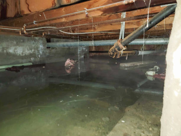 Best Emergency water damage restoration  in Monroe, OH