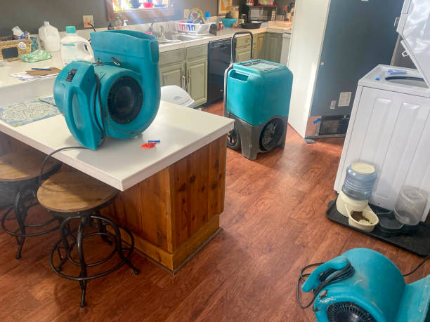 Best Sewage cleanup and water damage restoration  in Monroe, OH