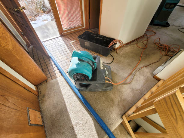 Best Residential water damage restoration  in Monroe, OH