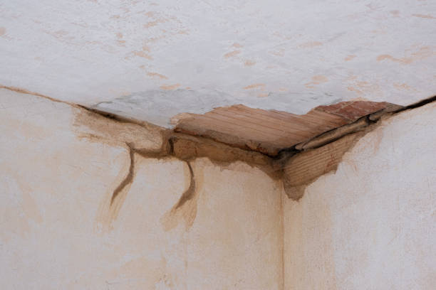 Best 24-hour water damage restoration  in Monroe, OH