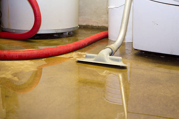 Best Basement water damage restoration  in Monroe, OH