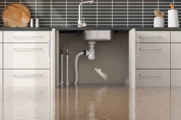 Best Flood restoration services  in Monroe, OH